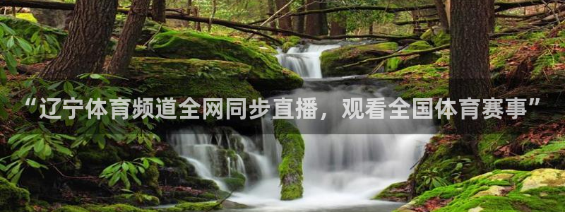 玩球直播app官网下载