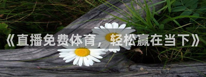 玩球直播cba：《直播免费体育，轻松赢在当下》