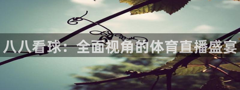 玩球直播网站：八八看球：全面视角的体育直播盛宴