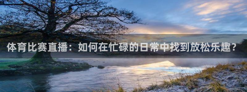玩球直播app最新版：体育比赛直播：如何在忙碌的日常中找到放松乐趣？