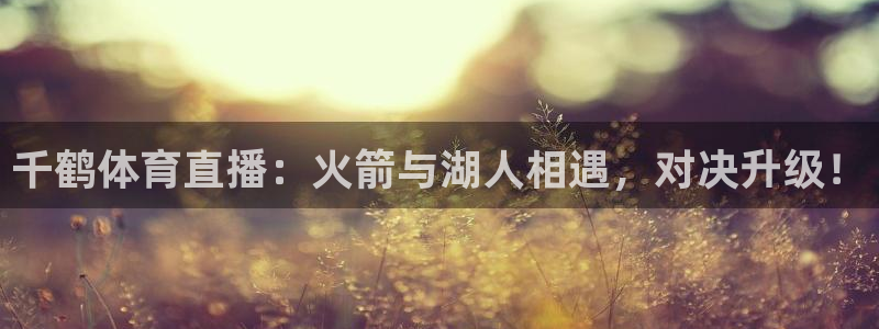 玩球直播官网入口：千鹤体育直播：火箭与湖人相遇，对决升级！
