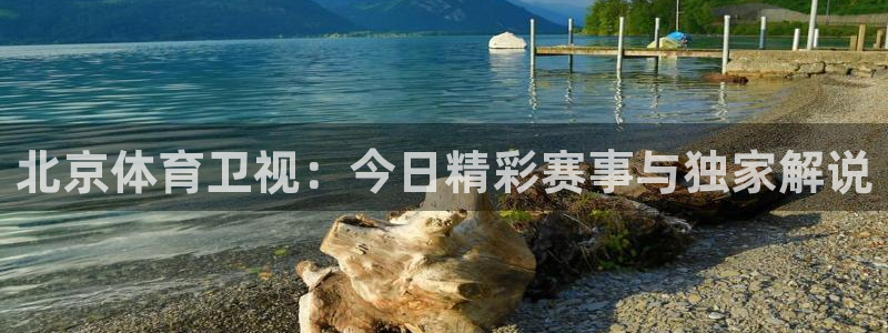 玩球直播ios下载苹果版：北京体育卫视：今日精彩赛事与独家解说