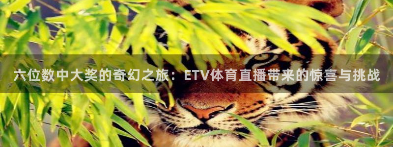 玩球直播app下载安装：六位数中大奖的奇幻之旅：ETV体育直播带来的惊喜与挑战