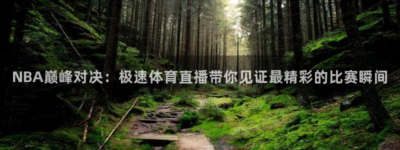 玩球直播官网入口：NBA巅峰对决：极速体育直播带你见证最精彩的比赛瞬间