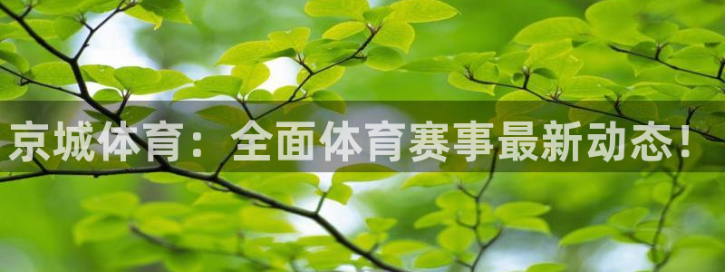 玩球直播官网nba直播：京城体育：全面体育赛事最新动态！