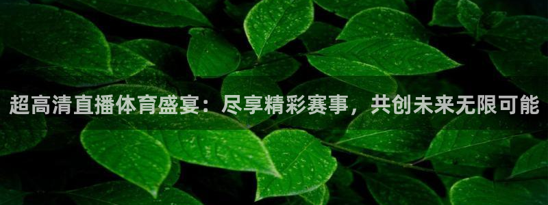 下载玩球直播：超高清直播体育盛宴：尽享精彩赛事，共创未来无限可能