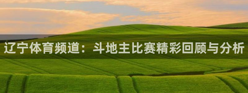 玩球直播nba直播app：辽宁体育频道：斗地主比赛精彩回顾与分析