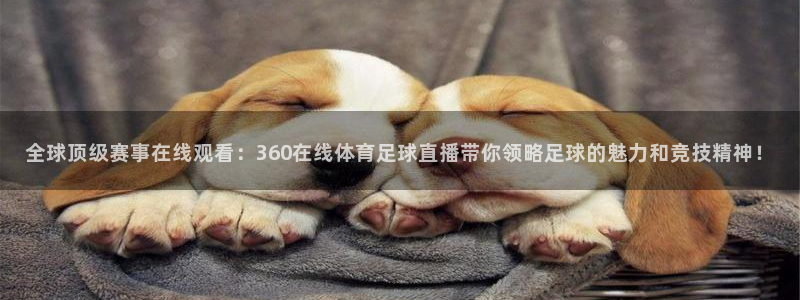 玩球直播体育app下载：全球顶级赛事在线观看：360在线体育足球直播带你领略足球的魅力和竞技精神！